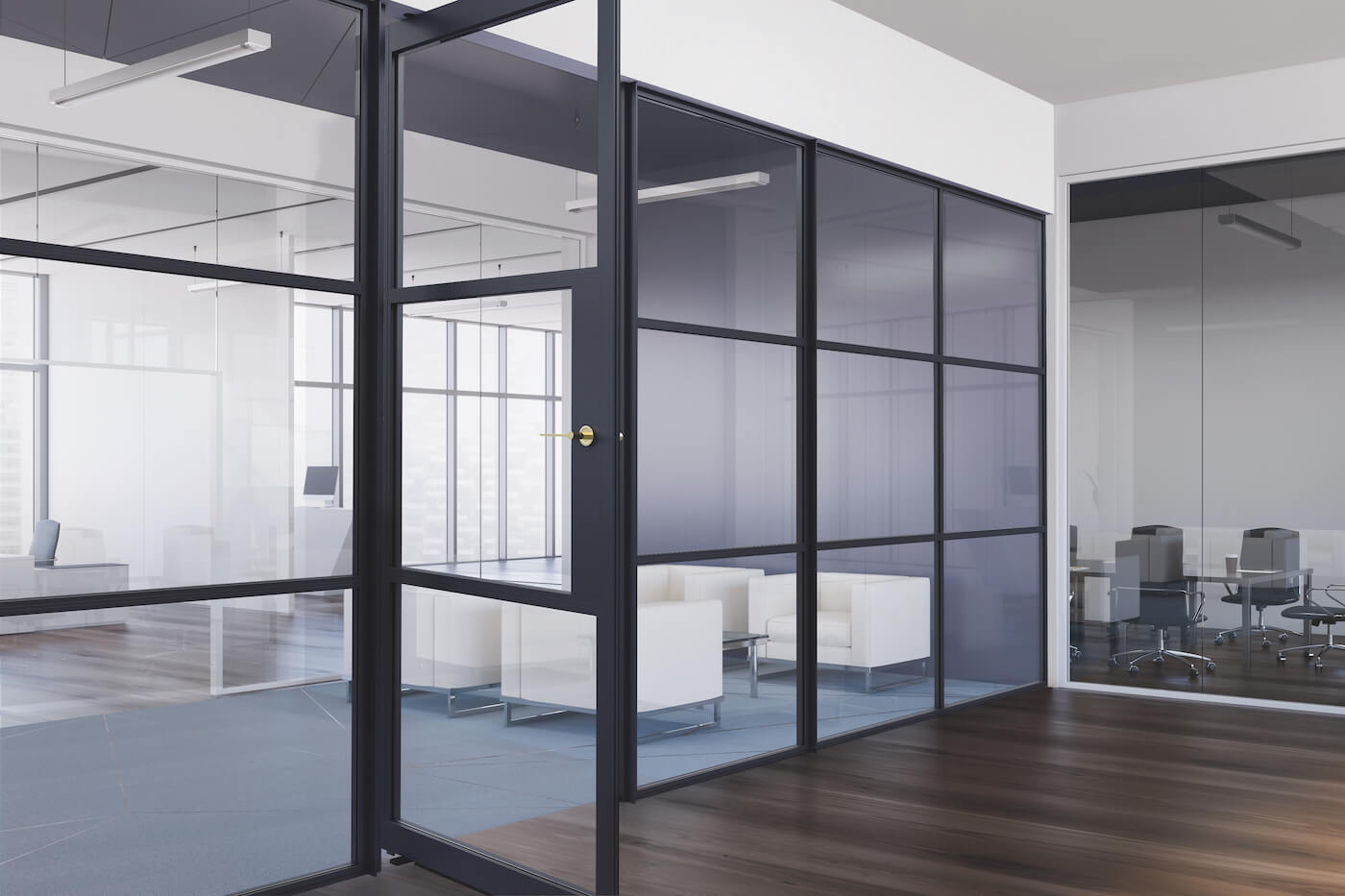 Interior shot of an AluSpace pivot door in an office setting